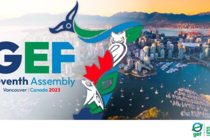 GEF Assembly