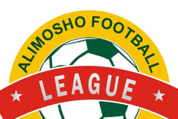Executive league management committee of the ongoing Alimosho Football Coaches Council U-16 League