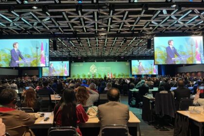 As Colombia continues to play a leading role in the COP28 in Dubai, today the country announced its official offer to host in 2024 the sixteenth meeting of the biannual United Nations Conference on Biodiversity (COP16), the most important event in the world on this issue.