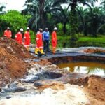 Ogoni Cleanup