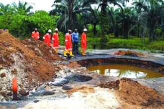 Ogoni Cleanup