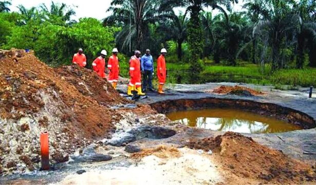 Ogoni Cleanup