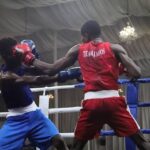 Individual Boxing Club Championship