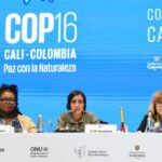 Convention on Biological Diversity (COP 16)