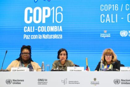 Convention on Biological Diversity (COP 16)