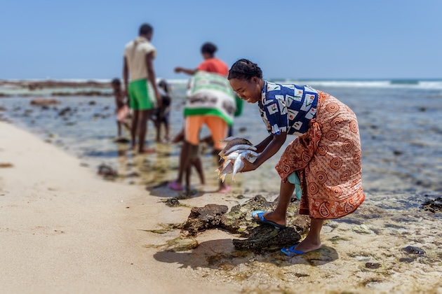 Intergovernmental Platform on Biodiversity and Ecosystem Services