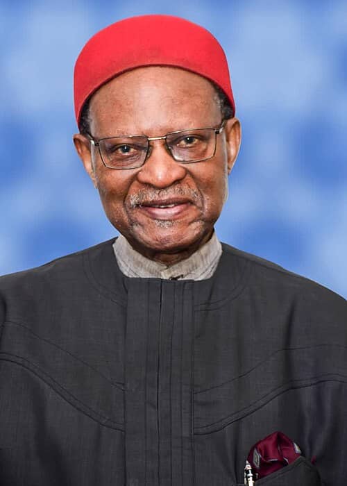 Chief Emeka Anyaoku