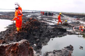 National Oil Spill Detection and Remediation Agency