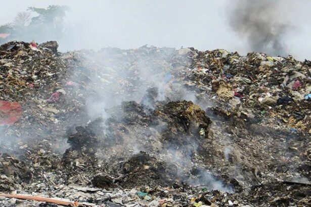 Nigeria’s Waste Management Crisis