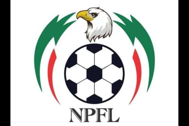 Nigeria Premier Football League