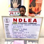 NDLEA