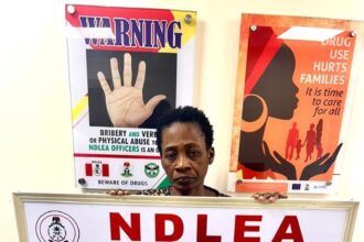 NDLEA