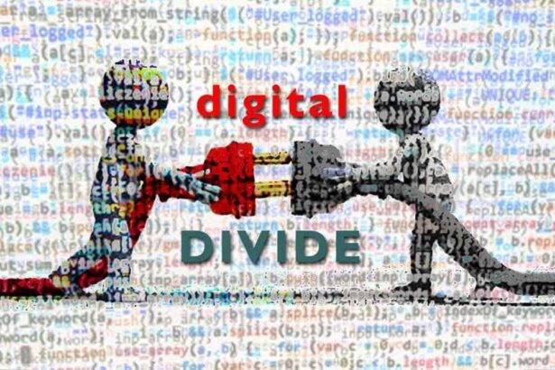 Addressing disparities critical to bridging the digital divide and achieving financial inclusion, experts highlight