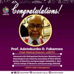 Professor Adetokunbo O. Fabamwo