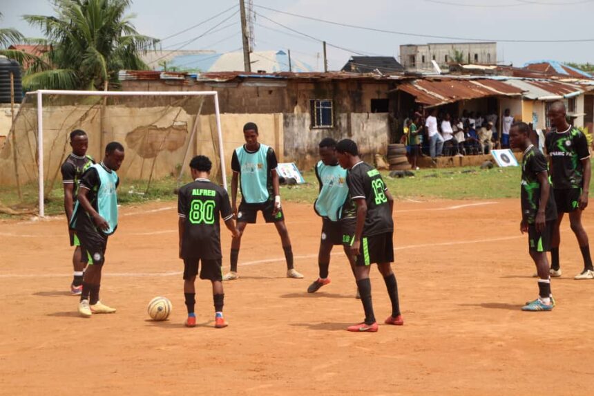 Harmony Cup