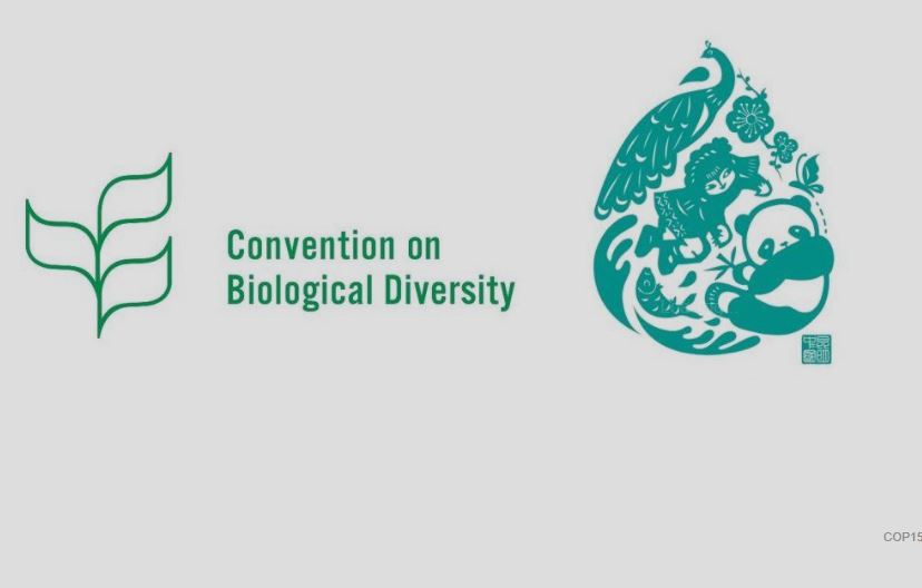 Convention on Biological Diversity