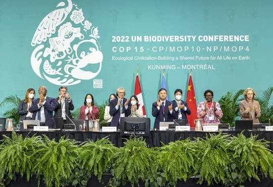 COP 17