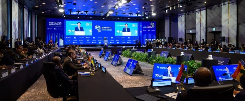 UNGA81